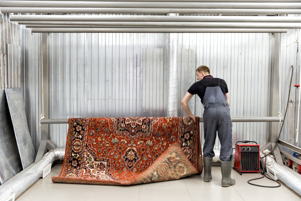 A professional from Steamtic of the Red River Valley performs an area rug cleaning for a client
