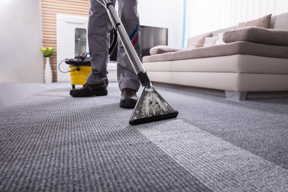 Person cleaning a carper with a vacuum, clean line on carpet where person cleaned.