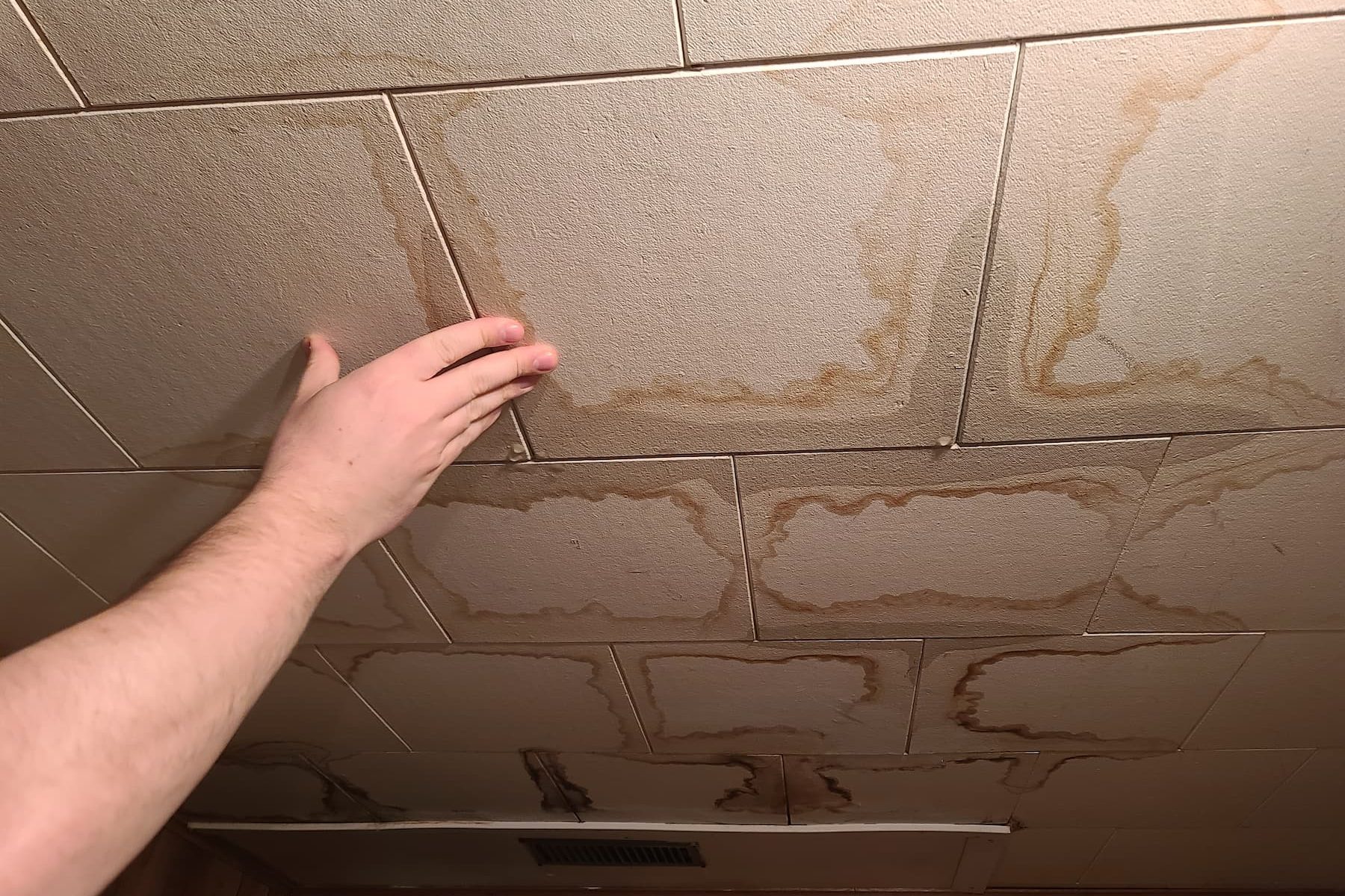 How to Identify & Repair Ceiling Water Damage