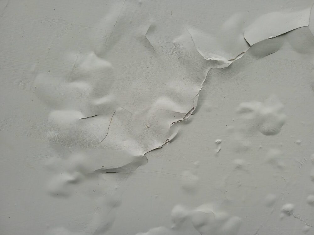 Why Is My Paint Bubbling and Blistering on the Wall? Steamatic of the