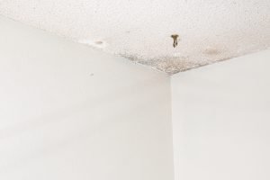 Signs of Hidden Water Damage in Walls and Ceiling