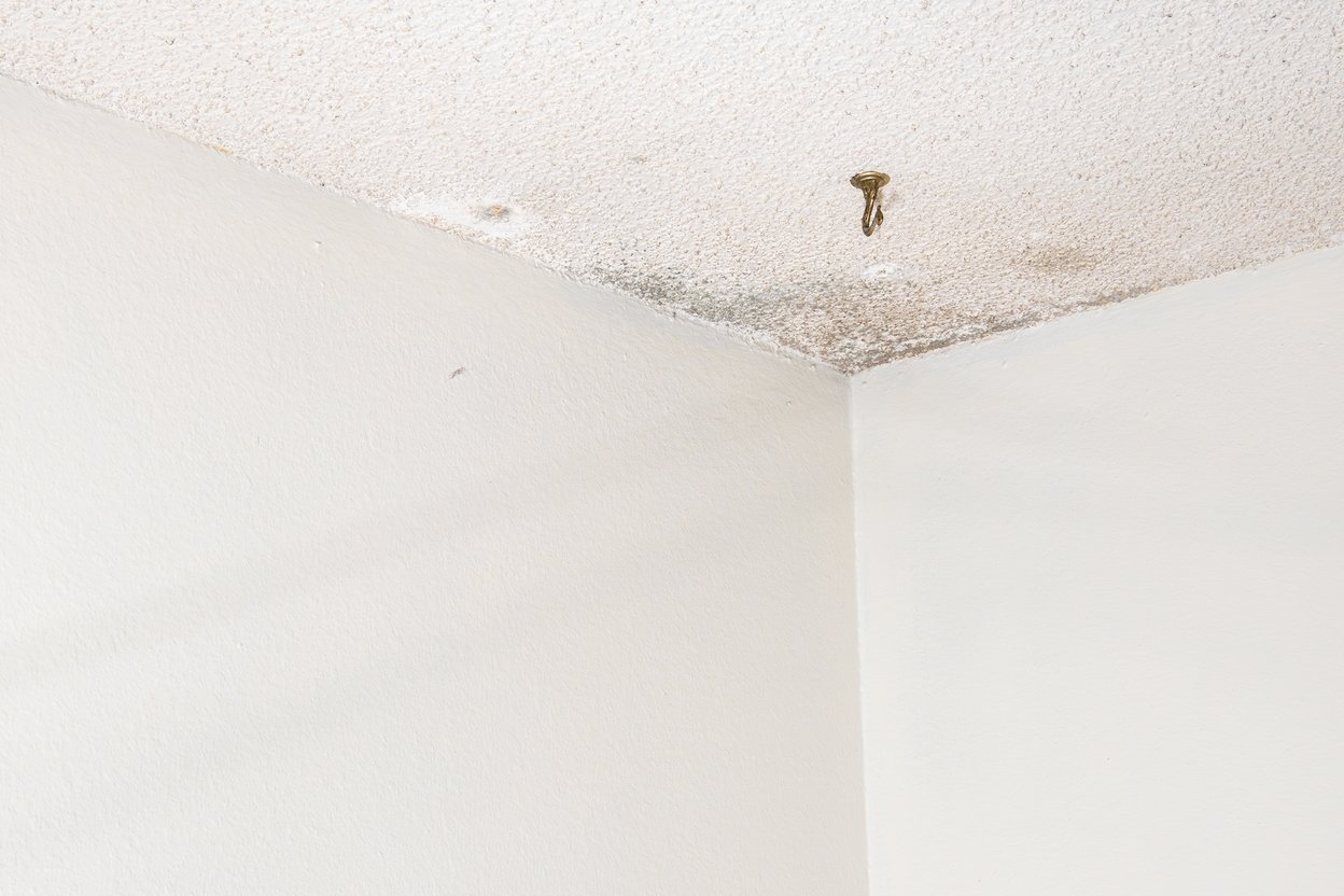 Signs of Hidden Water Damage in Walls and Ceiling