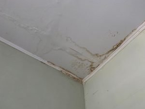 Water Damage Timeline from Steamatic