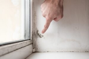 Mold or Dirt? Steamatic of RRV explains the differetnces.
